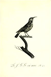 n182_w1150