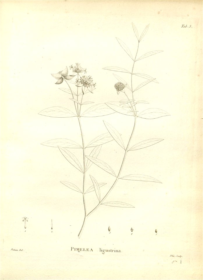 n113_w1150
