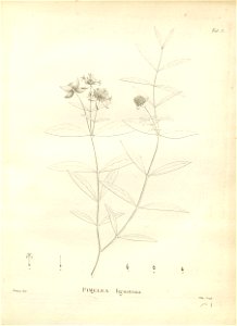 n113_w1150