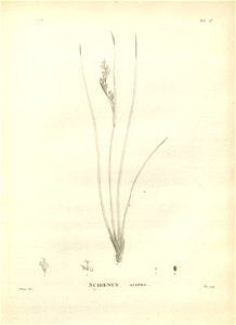 n128_w1150