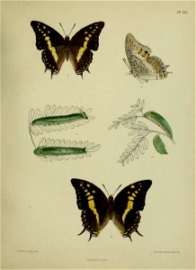 n464_w1150