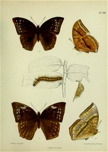 n404_w1150