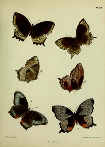 n374_w1150