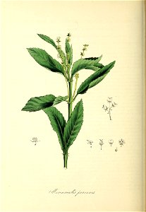 n133_w1150