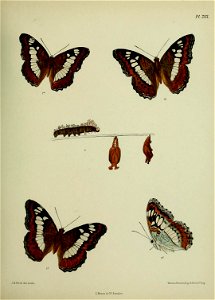 n392_w1150