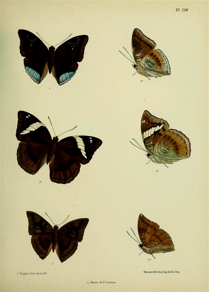 n362_w1150