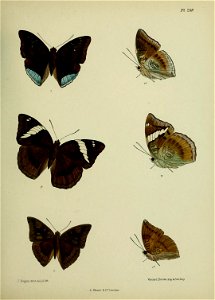n362_w1150