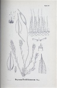 n130_w1150
