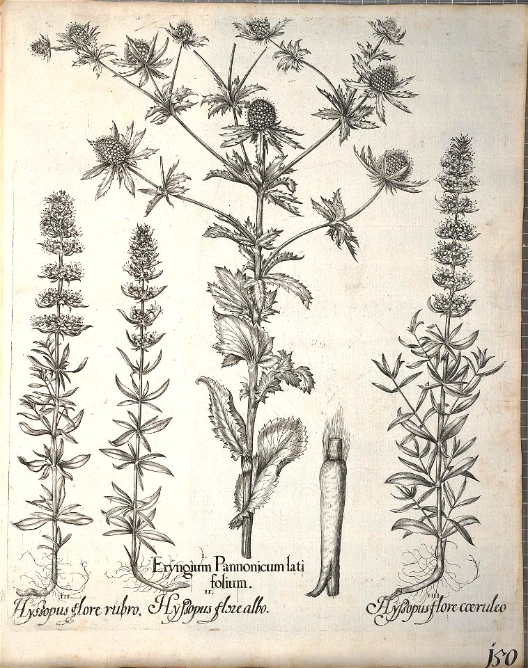 n301_w1150
