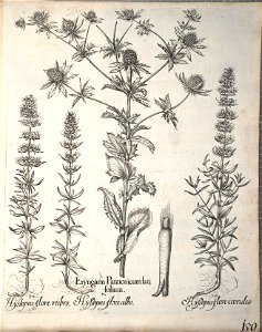 n301_w1150