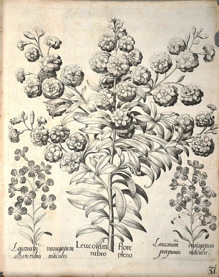 n182_w1150