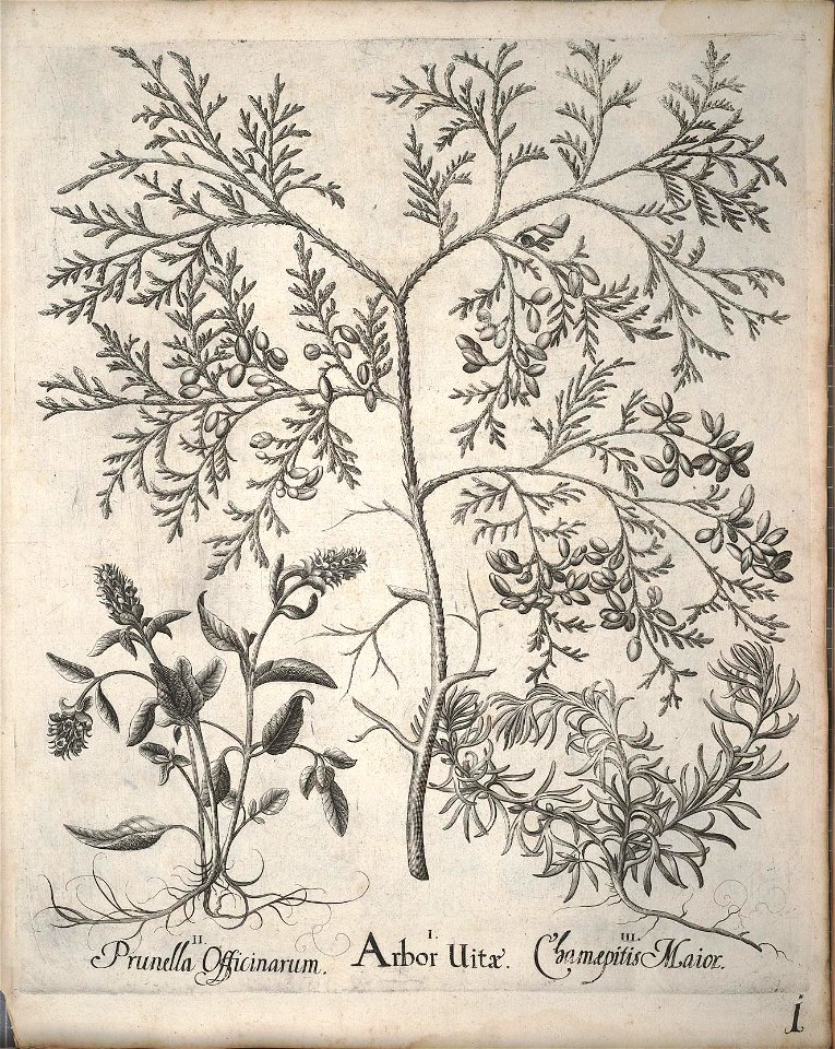 n152_w1150
