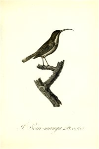 n120_w1150