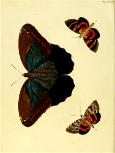 n179_w1150