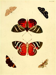 n122_w1150
