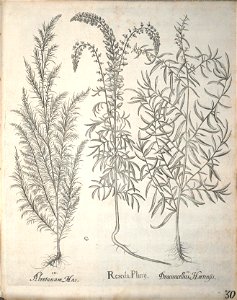 n181_w1150