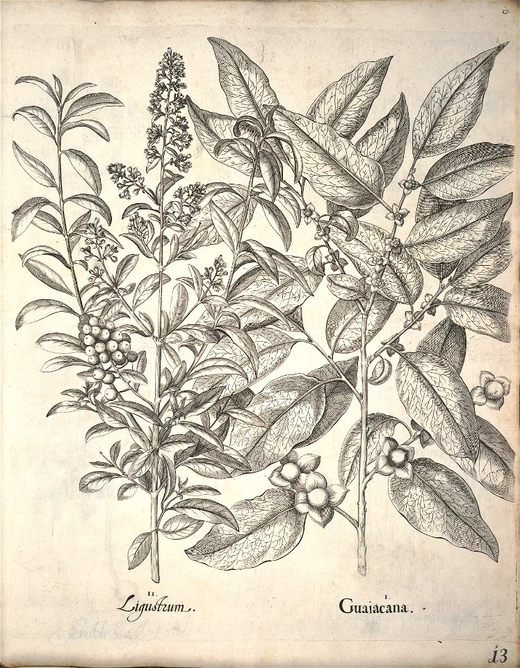 n23_w1150
