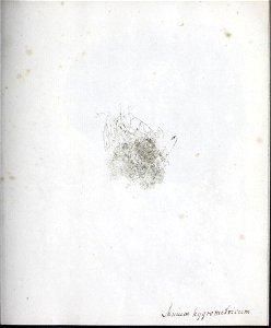 n28_w1150
