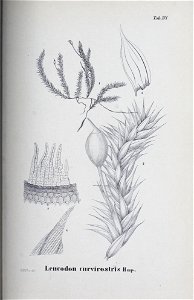 n112_w1150