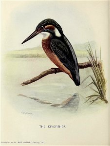 n67_w1150