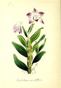 n57_w1150