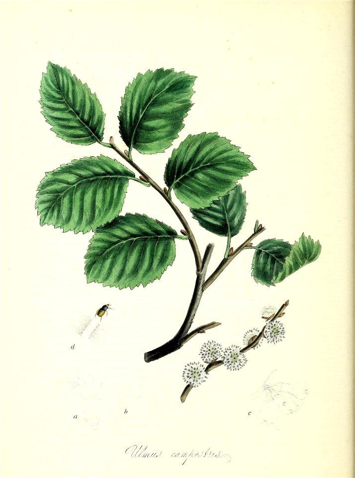n45_w1150