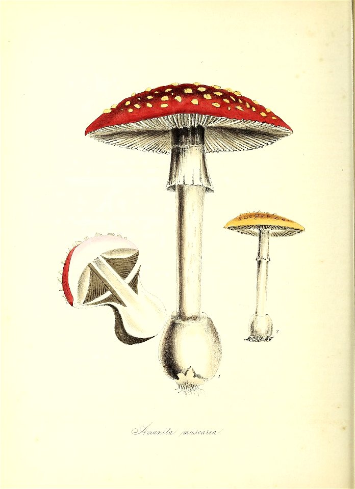n125_w1150