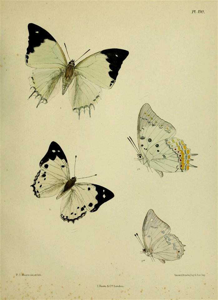 n478_w1150