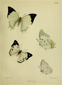 n478_w1150