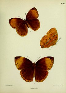 n418_w1150