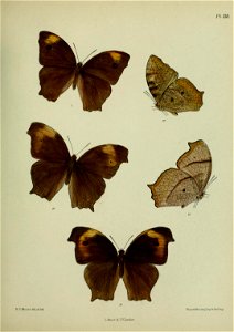 n358_w1150