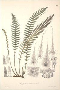n137_w1150