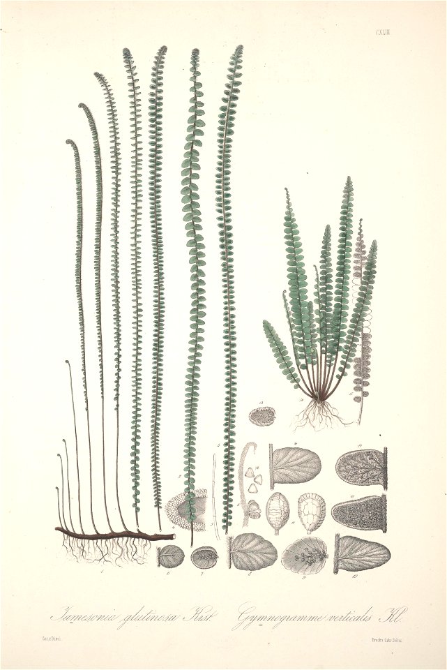 n134_w1150