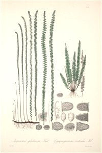 n134_w1150