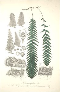 n168_w1150