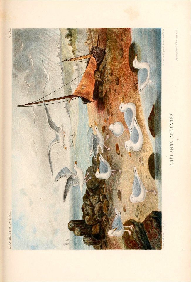 n628_w1150