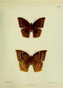 n406_w1150