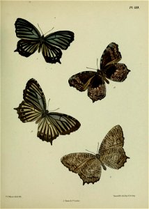 n376_w1150