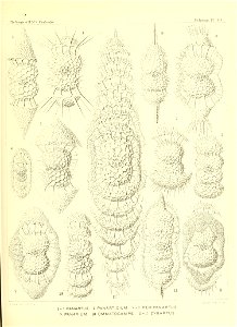 n170_w1150