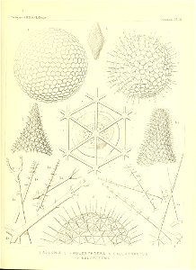 n454_w1150