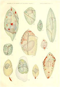 n590_w1150