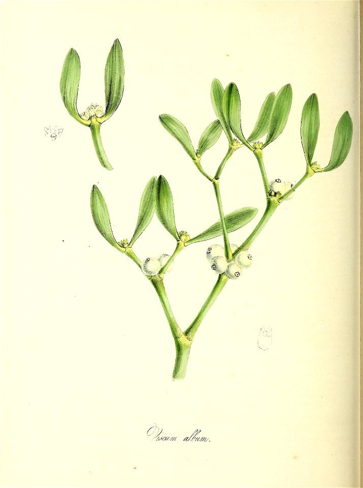 n157_w1150