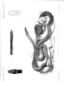 n395_w1150