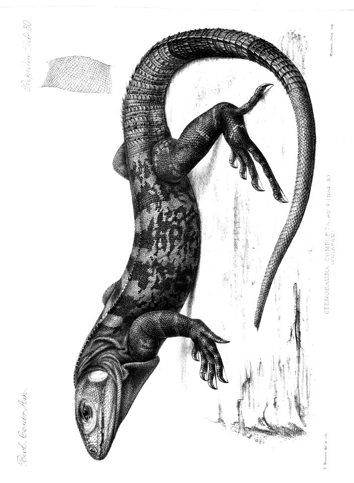 n379_w1150
