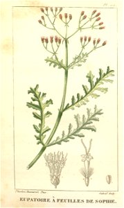 n423_w1150