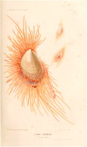 n310_w1150