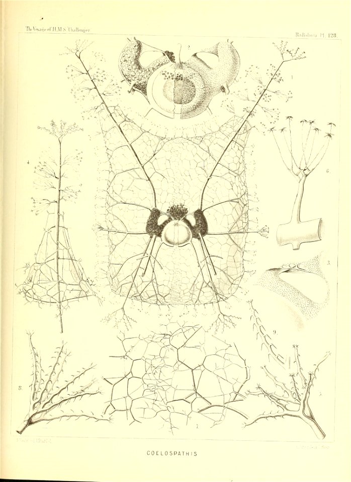 n522_w1150