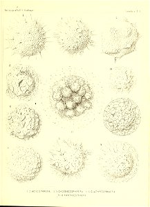n42_w1150