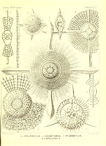 n158_w1150