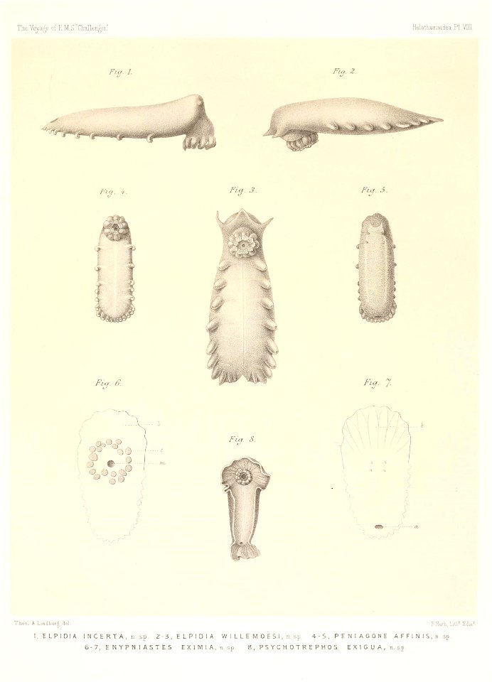 n694_w1150